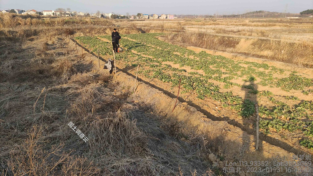 土壤調(diào)(普)查、生物多樣性調(diào)查