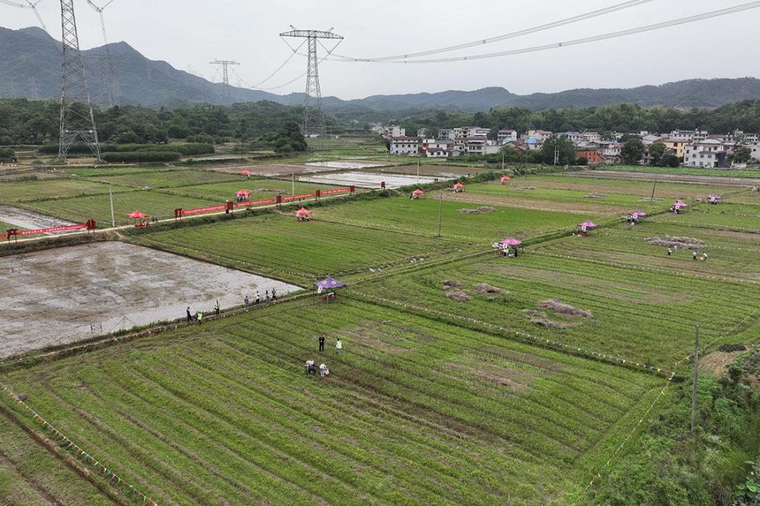 湖北省第三次土壤普查野外實(shí)操培訓(xùn)考核